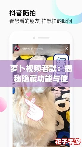 萝卜视频老款：揭秘隐藏功能与使用攻略，让你轻松玩转每一帧！