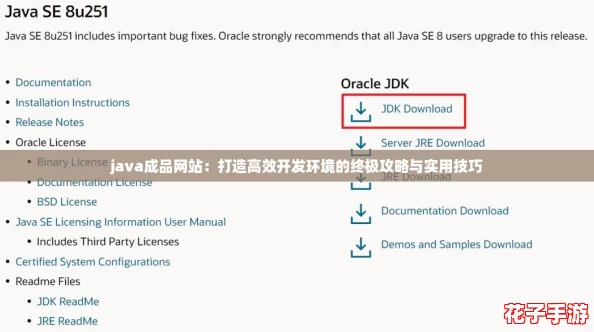 java成品网站：打造高效开发环境的终极攻略与实用技巧