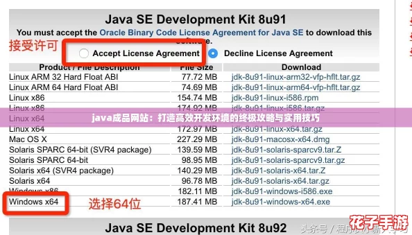 java成品网站：打造高效开发环境的终极攻略与实用技巧
