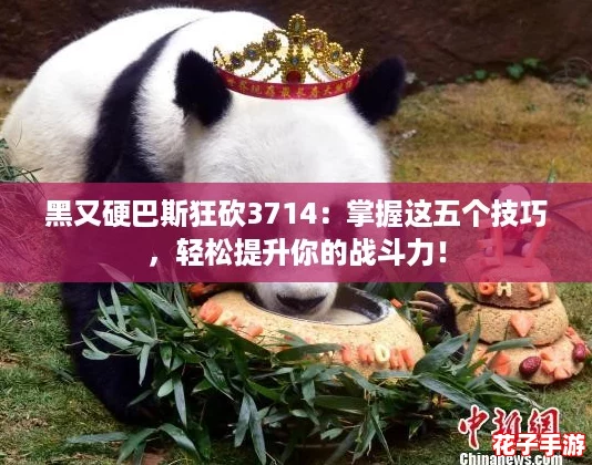 黑又硬巴斯狂砍3714：掌握这五个技巧，轻松提升你的战斗力！