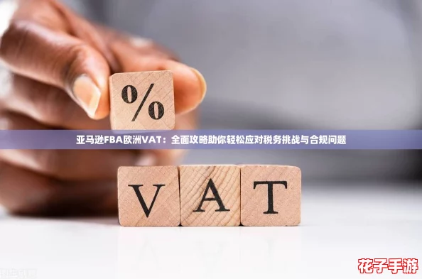 亚马逊FBA欧洲VAT：全面攻略助你轻松应对税务挑战与合规问题