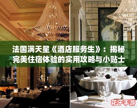 法国满天星《酒店服务生》：揭秘完美住宿体验的实用攻略与小贴士