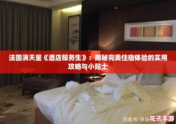 法国满天星《酒店服务生》：揭秘完美住宿体验的实用攻略与小贴士
