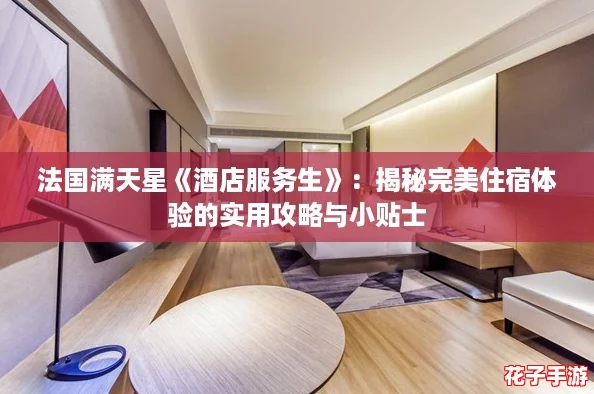 法国满天星《酒店服务生》：揭秘完美住宿体验的实用攻略与小贴士