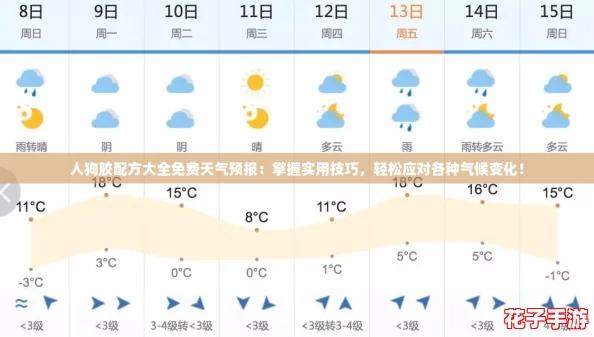 人狗胶配方大全免费天气预报：掌握实用技巧，轻松应对各种气候变化！