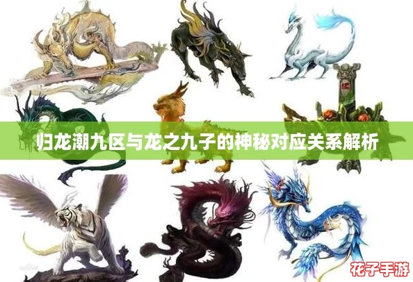 归龙潮九区与龙之九子的神秘对应关系解析
