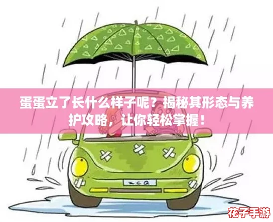 蛋蛋立了长什么样子呢？揭秘其形态与养护攻略，让你轻松掌握！