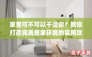 家里可不可以干湿你？教你打造完美居家环境的实用攻略！