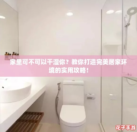 家里可不可以干湿你？教你打造完美居家环境的实用攻略！