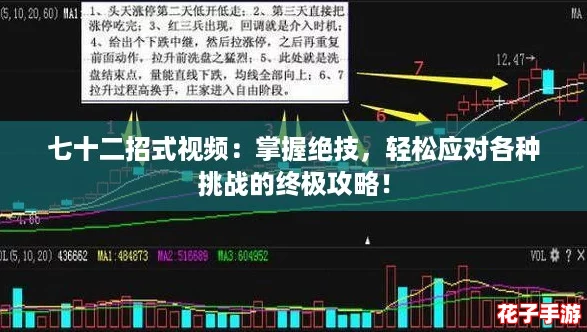 七十二招式视频：掌握绝技，轻松应对各种挑战的终极攻略！