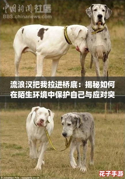流浪汉把我拉进桥底：揭秘如何在陌生环境中保护自己与应对突发情况的实用攻略