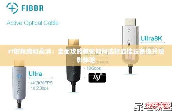 rf射频线和高清：全面攻略教你如何选择最佳设备提升观影体验