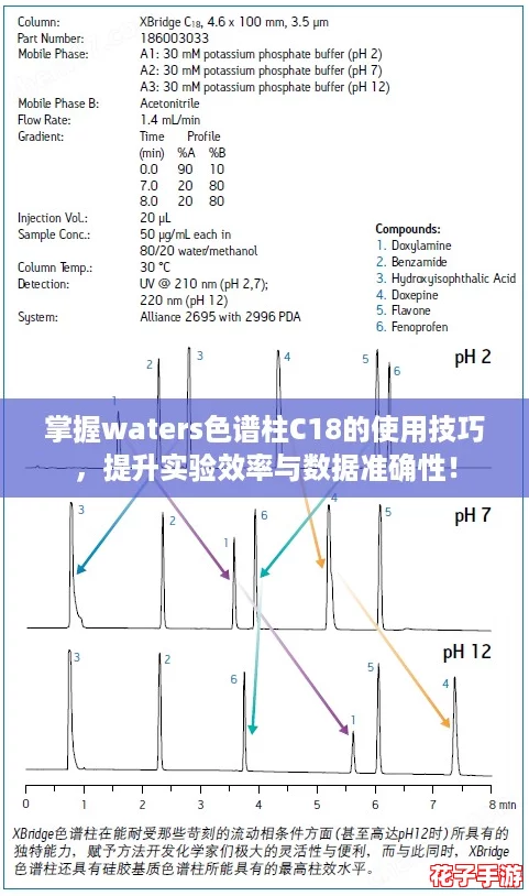 掌握waters色谱柱C18的使用技巧，提升实验效率与数据准确性！