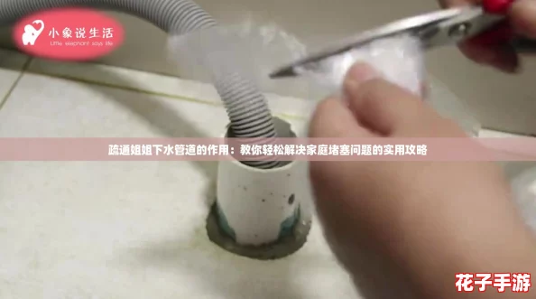 疏通姐姐下水管道的作用：教你轻松解决家庭堵塞问题的实用攻略