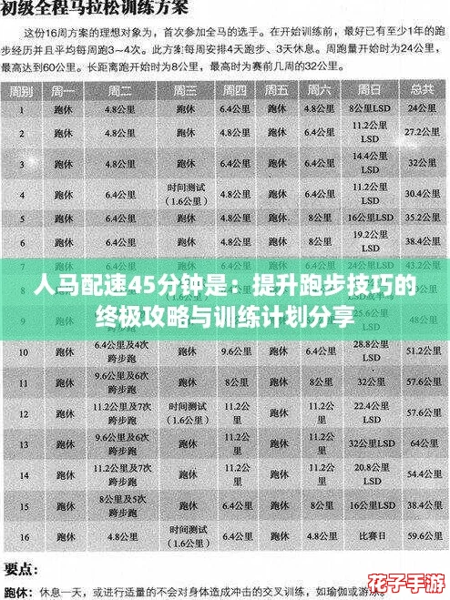 人马配速45分钟是：提升跑步技巧的终极攻略与训练计划分享
