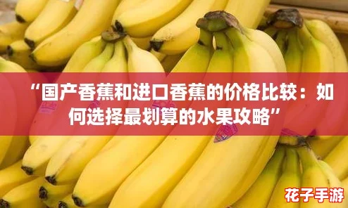 “国产香蕉和进口香蕉的价格比较：如何选择最划算的水果攻略”