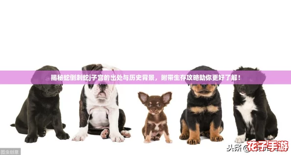 揭秘蛇倒刺蛇j子宫的出处与历史背景，附带生存攻略助你更好了解！