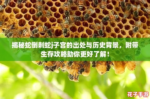 揭秘蛇倒刺蛇j子宫的出处与历史背景，附带生存攻略助你更好了解！