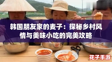 韩国朋友家的麦子：探秘乡村风情与美味小吃的完美攻略