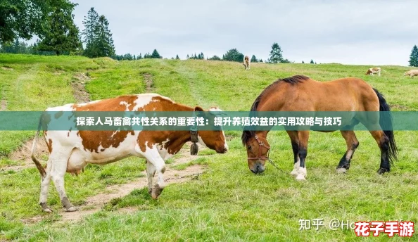 探索人马畜禽共性关系的重要性：提升养殖效益的实用攻略与技巧