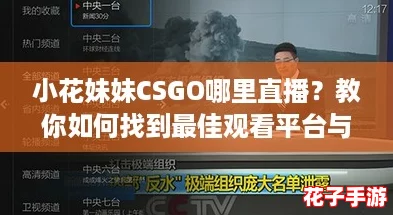 小花妹妹CSGO哪里直播?教你如何找到最佳观看平台与精彩攻略! 小花妹妹CSGO哪里直播?教你如何找到最佳观看平台与精彩攻略!