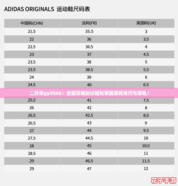 三叶草gy8566：全面攻略助你轻松掌握游戏技巧与策略！
