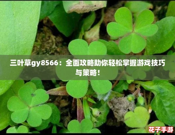三叶草gy8566：全面攻略助你轻松掌握游戏技巧与策略！