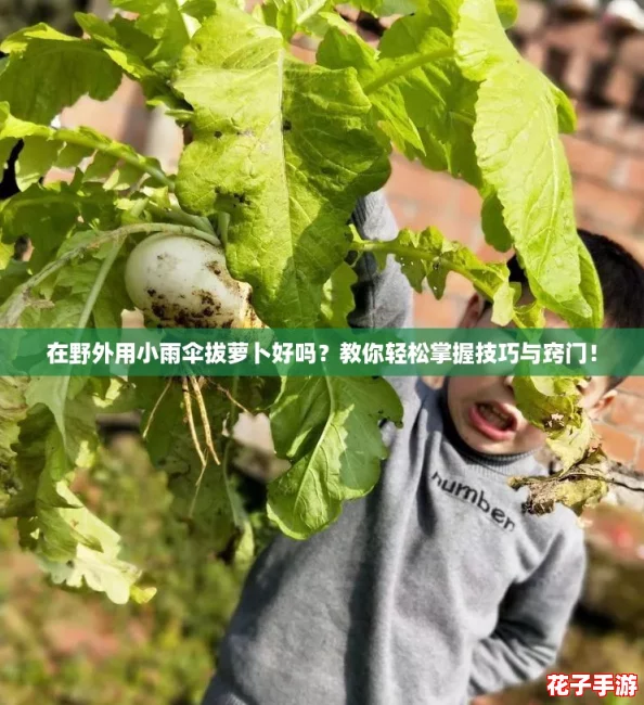 在野外用小雨伞拔萝卜好吗？教你轻松掌握技巧与窍门！