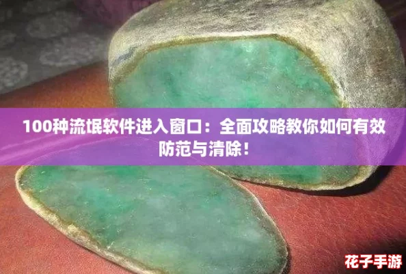 100种流氓软件进入窗口：全面攻略教你如何有效防范与清除！