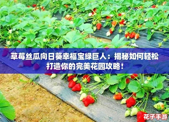 草莓丝瓜向日葵幸福宝绿巨人：揭秘如何轻松打造你的完美花园攻略！