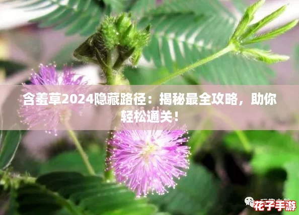 含羞草2024隐藏路径：揭秘最全攻略，助你轻松通关！