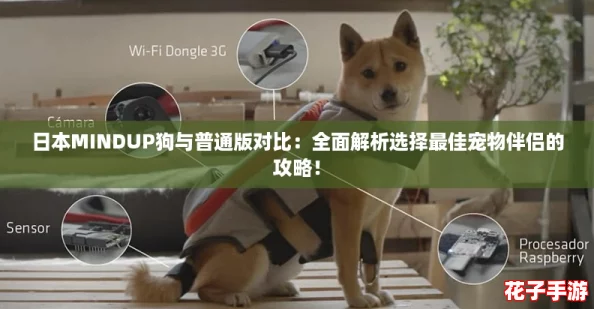 日本MINDUP狗与普通版对比：全面解析选择最佳宠物伴侣的攻略！