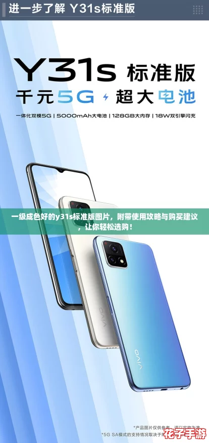 一级成色好的y31s标准版图片，附带使用攻略与购买建议，让你轻松选购！