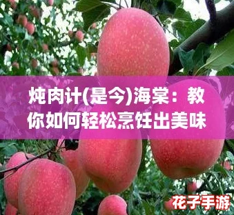 炖肉计(是今)海棠：教你如何轻松烹饪出美味的家常炖肉攻略