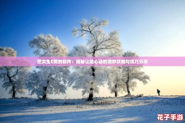 把女生C哭的软件：揭秘让她心动的绝妙攻略与技巧分享