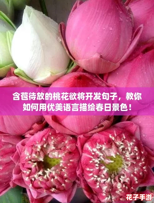 含苞待放的桃花欲将开发句子，教你如何用优美语言描绘春日景色！