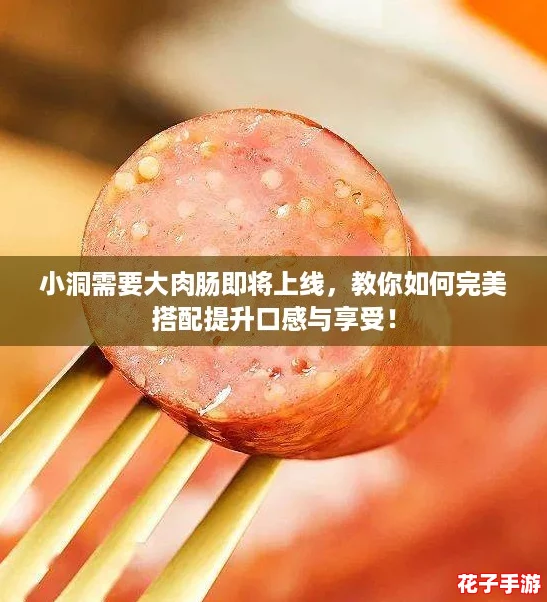 小洞需要大肉肠即将上线，教你如何完美搭配提升口感与享受！