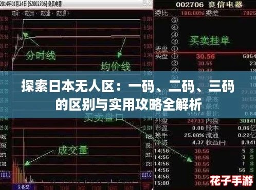 探索日本无人区：一码、二码、三码的区别与实用攻略全解析