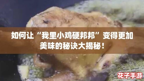 如何让“我里小鸡硬邦邦”变得更加美味的秘诀大揭秘！