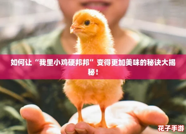 如何让“我里小鸡硬邦邦”变得更加美味的秘诀大揭秘！