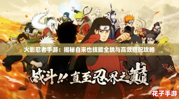 火影忍者手游：揭秘自来也技能全貌与高效搭配攻略