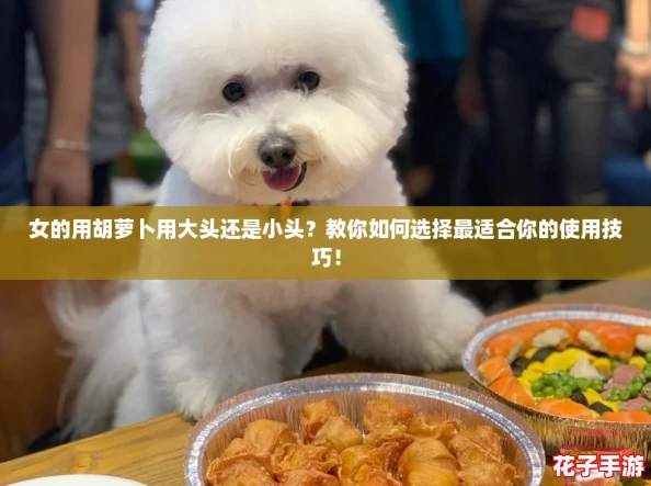 女的用胡萝卜用大头还是小头?教你如何选择最适合你的使用技巧! 女的用胡萝卜用大头还是小头?教你如何选择最适合你的使用技巧!