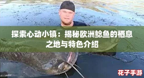 探索心动小镇：揭秘欧洲鲶鱼的栖息之地与特色介绍