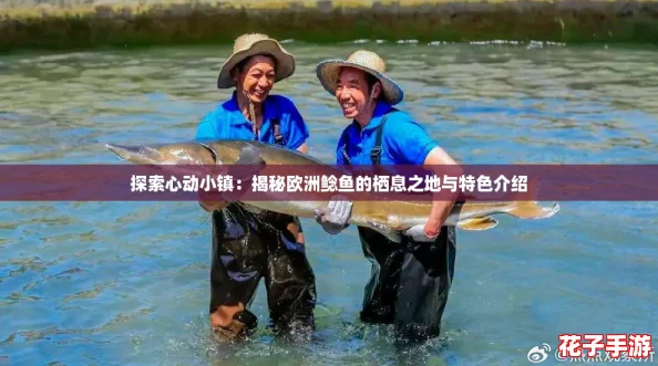 探索心动小镇:揭秘欧洲鲶鱼的栖息之地与特色介绍 探索心动小镇:揭秘欧洲鲶鱼的栖息之地与特色介绍