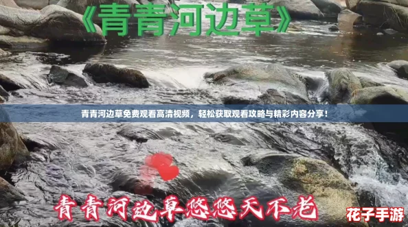 青青河边草免费观看高清视频,轻松获取观看攻略与精彩内容分享! 青青河边草免费观看高清视频,轻松获取观看攻略与精彩内容分享!