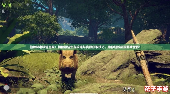 仙踪林老狼信息网:揭秘最佳生存攻略与资源获取技巧,助你轻松征服游戏世界! 仙踪林老狼信息网:揭秘最佳生存攻略与资源获取技巧,助你轻松征服游戏世界!