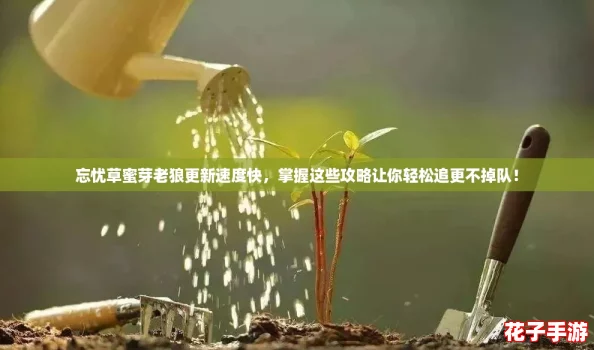 忘忧草蜜芽老狼更新速度快，掌握这些攻略让你轻松追更不掉队！