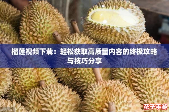 榴莲视频下载：轻松获取高质量内容的终极攻略与技巧分享