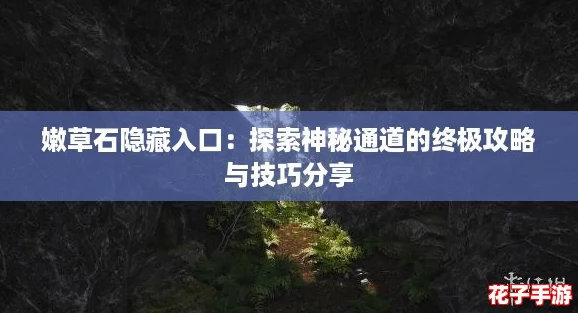 嫩草石隐藏入口：探索神秘通道的终极攻略与技巧分享