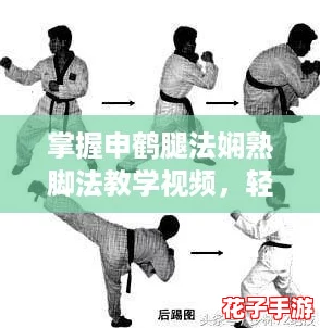 掌握申鹤腿法娴熟脚法教学视频,轻松提升你的武术技巧与实战攻略! 掌握申鹤腿法娴熟脚法教学视频,轻松提升你的武术技巧与实战攻略!